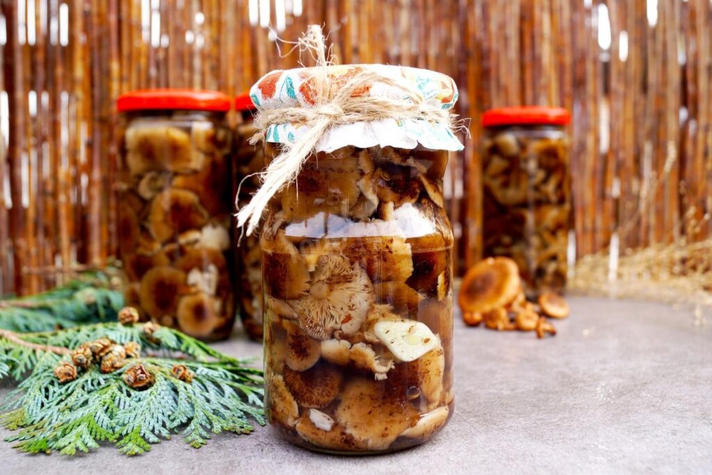 Маринованные опята без уксуса: мягкий вкус