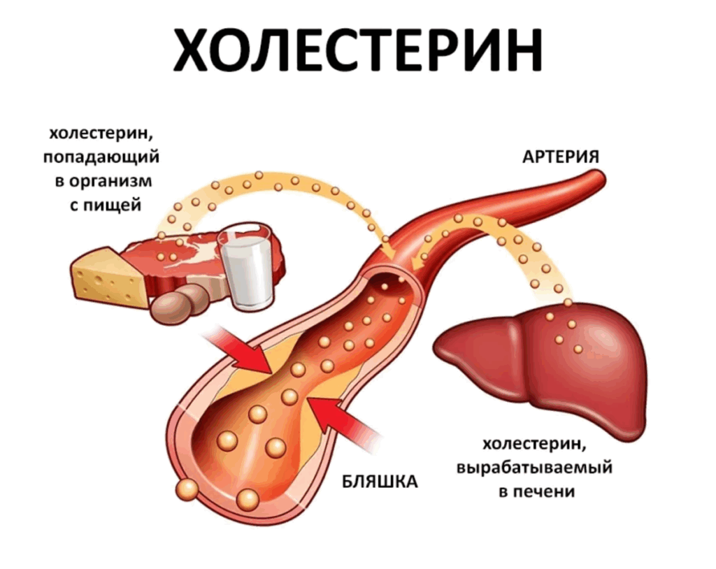 Холестерин